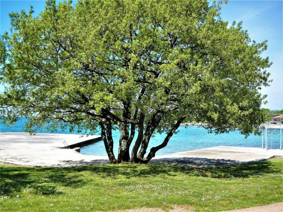 Apartment Claire Karšete Εξωτερικό φωτογραφία