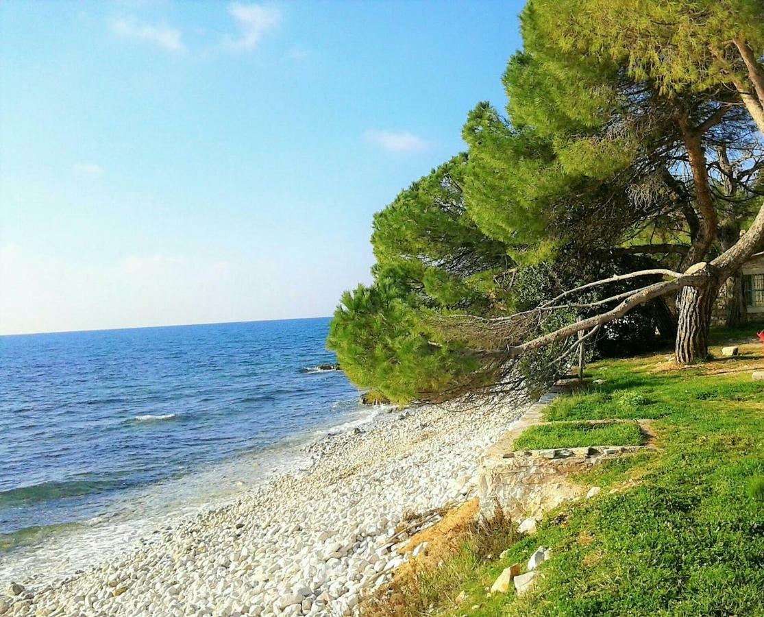 Apartment Claire Karšete Εξωτερικό φωτογραφία